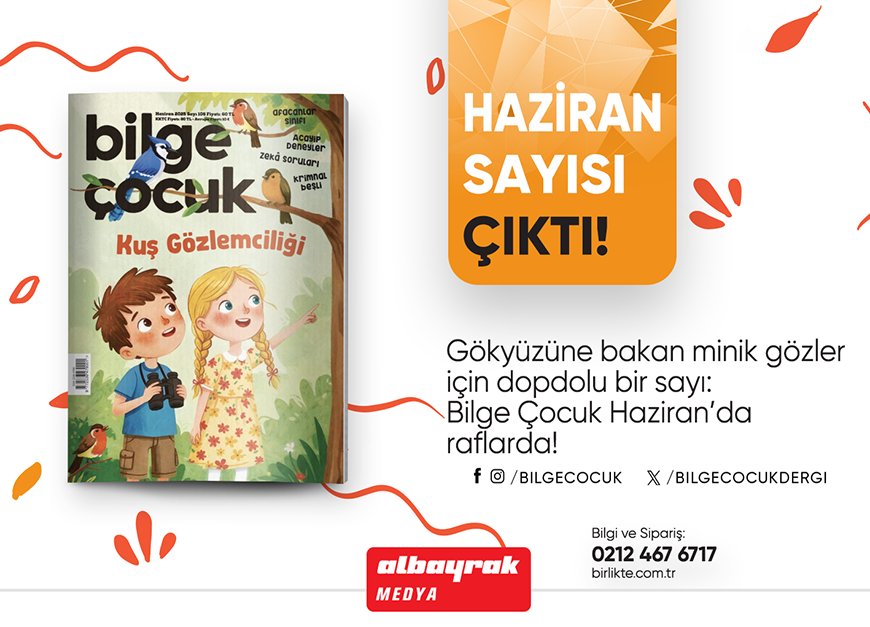 bç 6.25.png (359 KB)