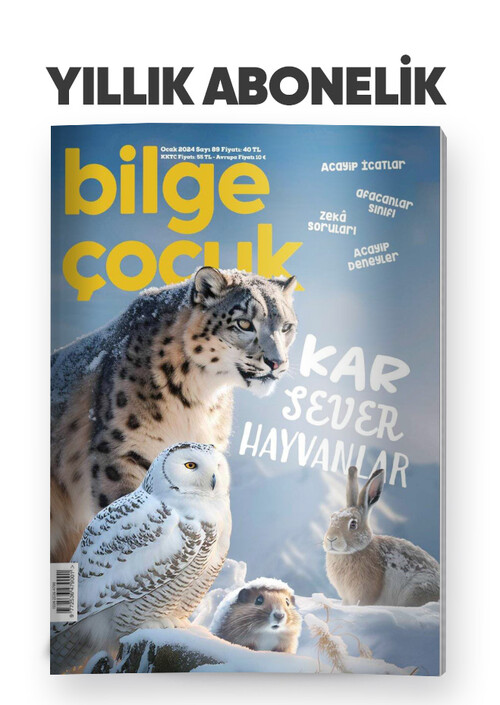 Bilge Çocuk Dergisi - Bilge Çocuk - Yıllık Abonelik