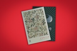 Ketebe Yayıncılık - Cemile (Kutulu Özel Baskı) Ketebe Yayıncılık - Cemile (Kutulu Özel Baskı)