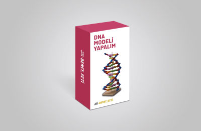 DENEY SETİ - DNA