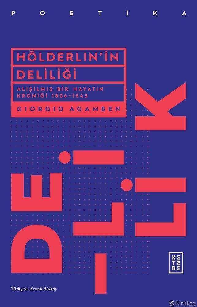 Hölderlin'in Deliliği Hölderlin'in Deliliği