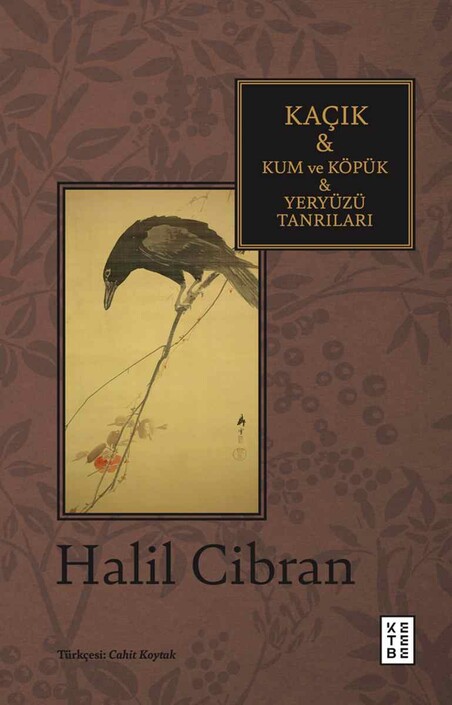 Ketebe Yayınları - Kaçık & Kum ve Köpük & Yeryüzü Tanrıları