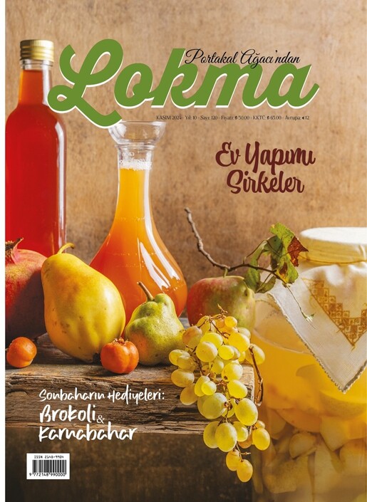 Lokma Dergisi - Lokma - Kasım 2024 / Sayı 120