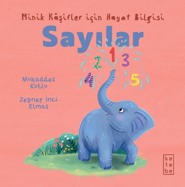 KETEBE ÇOCUK - Minik Kâşifler için Hayat Bilgisi - Sayılar