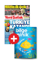 Yeni Şafak Gazetesi - Yeni Şafak - Bilge Minik